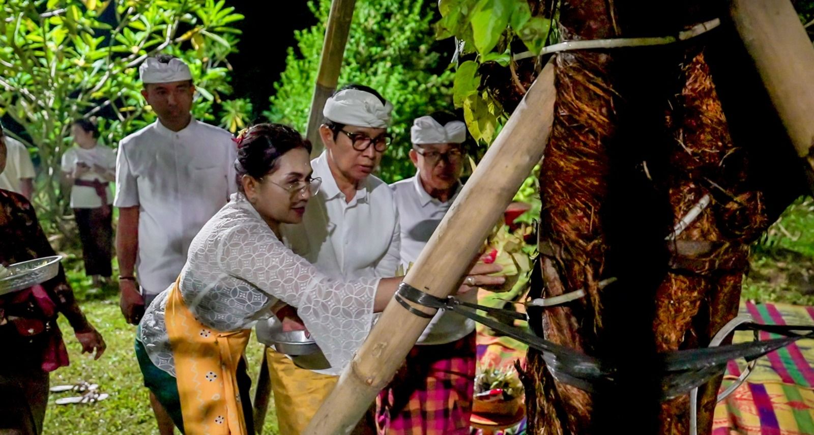 podiumnews.com-Jaga Ekologi Kawasan Suci, Badung Tanam Pohon Bodhi